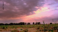 /album/fotogaleria/dsc-0034-jpg/