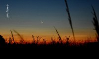 /album/fotogaleria/dsc-0222-jpg/