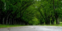 /album/fotogaleria/a473-jpg/
