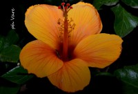 /album/fotogaleria/a474-jpg/