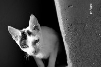 /album/fotogaleria/a107-jpg/