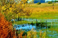 /album/fotogaleria/a108-jpg/