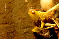 /album/fotogaleria/a116-jpg/