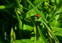 /album/fotogaleria/a129-jpg/
