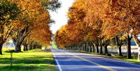 /album/fotogaleria/a130-jpg/