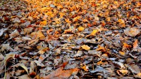/album/fotogaleria/a135-jpg/