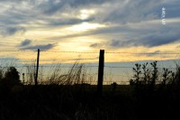 /album/fotogaleria/a136-jpg/