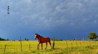 /album/fotogaleria/a175-jpg/