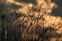 /album/fotogaleria/a363-jpg/