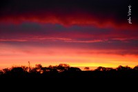 /album/fotogaleria/a2033-jpg/