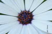 /album/fotogaleria/a2035-jpg/