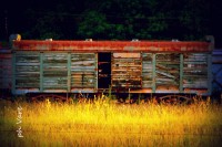 /album/fotogaleria/a1797-jpg/