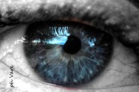 /album/fotogaleria/a1802-jpg/