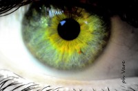 /album/fotogaleria/a1803-jpg/