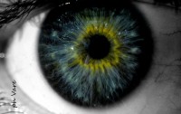 /album/fotogaleria/a1804-jpg/