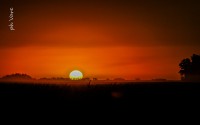 /album/fotogaleria/a2159-jpg/