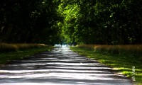 /album/fotogaleria/a819-jpg/