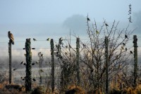 /album/fotogaleria/a1915-jpg/