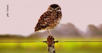 /album/fotogaleria/a1858-jpg/