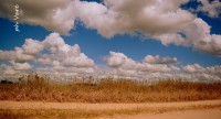/album/fotogaleria/a1862-jpg/