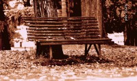 /album/fotogaleria/a1863-jpg/