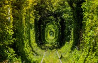 /album/phvare/a44974694-2232105933468782-3842744309593931776-n-jpg/