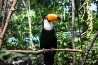 /album/phvare/dsc-3759-jpg/