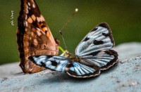 /album/fotogaleria/dsc-3348-jpg/