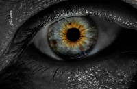 /album/fotogaleria/powernet2-jpg/