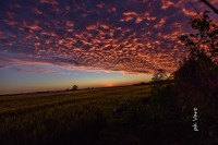 /album/phvare/dsc-9491-jpg/