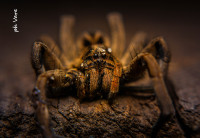 /album/fotogaleria/dsc-0286-jpg/
