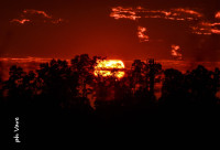 /album/fotogaleria/dsc-1041-jpg/